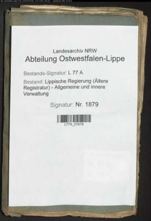 Dispense zu Ehen in verbotenen Graden im erbherrlichen Amt Blomberg