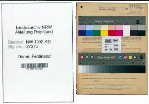 Entnazifizierung Ferdinand Dame, geb. 11.06.1889 (Verwaltungsgehilfe)