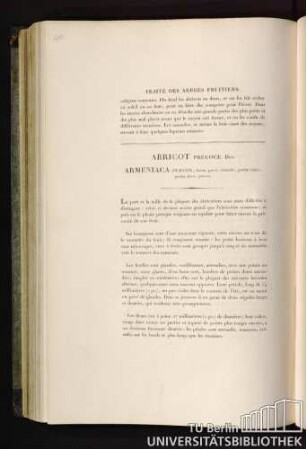 Traité des arbres fruitiers. Abricot Prècoce. Duh. Armeniaca Praecox, fructu parvo, rotundo, partim rubro, partim flavo, precoci.