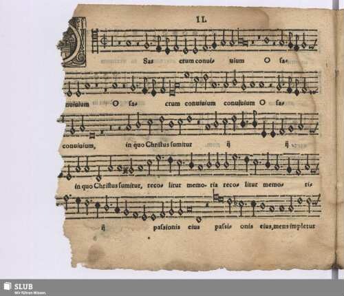 II. O sacrum convivium