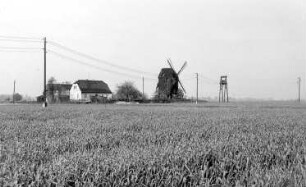 Annaburg. Blick zur Bockmühle