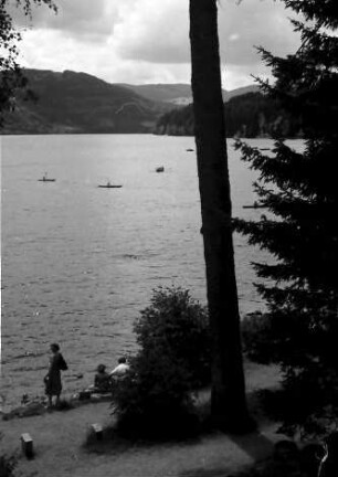 Titisee: Ufer am Titisee
