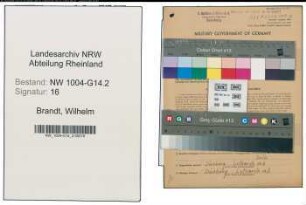 Entnazifizierung Wilhelm Brandt , geb. 05.06.1890 (Meister)