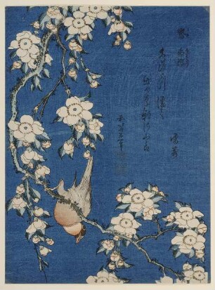 Gimpel und Trauerkirsche aus der Serie "Blumen und Vögel"