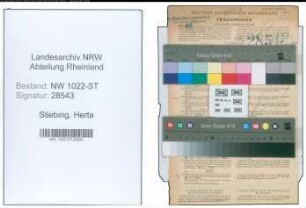 Entnazifizierung Herta Stiebing , geb. 30.12.1913 (Kontoristin)