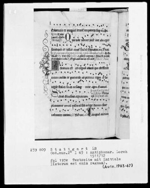 Antiphonarium (Benediktinerhandschrift) — Initiale I (storum est enim regnum), Folio 193 verso