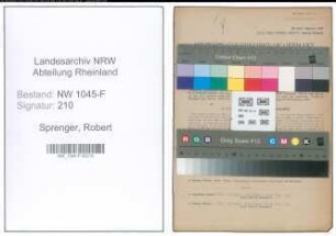 Entnazifizierung Robert Sprenger , geb. 29.06.1910 (Steuerberater)