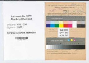 Entnazifizierung Hermann Schmitz-Eickhoff, geb. 19.11.1898 (Anstreicher)
