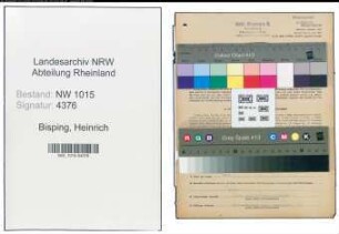 Entnazifizierung Heinrich Bisping , geb. 03.10.1903 (Kaufmann)
