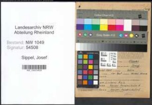 Entnazifizierung Josef Sippel , geb. 15.01.1904 (Fahrer)