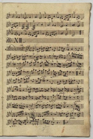12. Anonymus, Andante, A-Dur
