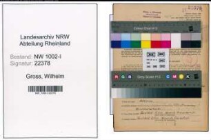 Entnazifizierung Wilhelm Gross, geb. 11.11.1912 (Kaufm.Angest.)