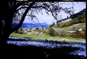 Himmelreich: vom Neubauernhof gegen Himmelreich