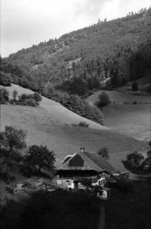 Untermünstertal: Blick ins Münstertal; mit Schwarzwaldhaus