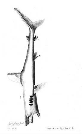Tab B8