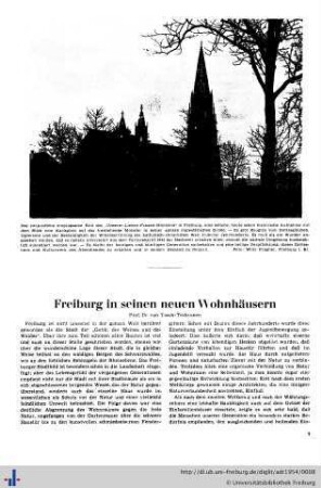 Geschichtliche Beiträge.