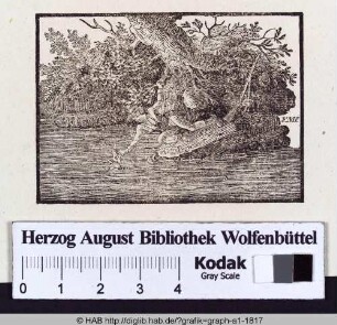 Ein Mann hält sich an einem Ast fest um etwas aus dem Fluss zu holen.