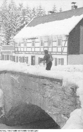 Winter, Landschaften, Max Hille beim Skilauf, beleuchteter Weihnachtsbaum, Januar-Februar 1956