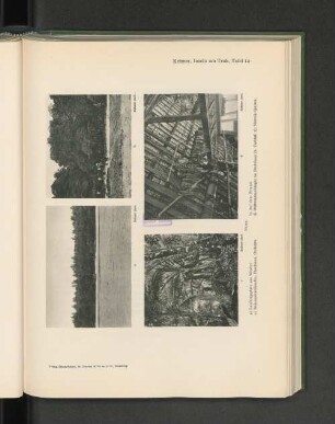 Krämer, Inseln um Truk, Tafel 12