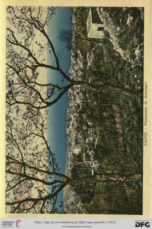 Capri – Panorama di Anacapri – Panorama de Anacapri – General View of Anacapris – Ansicht von Anacapri