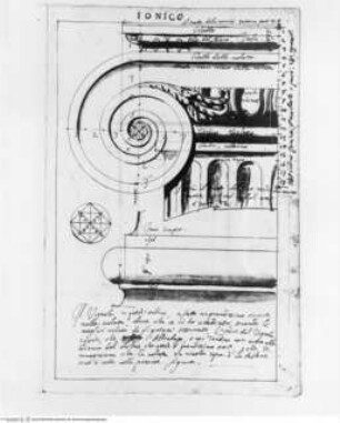 Trattato dell' ordine cinquen e dell' architettura civile, Die Ionische Ordnung, Kapitell