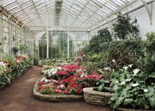 Dresden. Schloss Pillnitz. Palmenhaus : Dresden. Schloss Pillnitz. Palmenhaus, Innenansicht (Höhere Fachschule für Gartenbau)