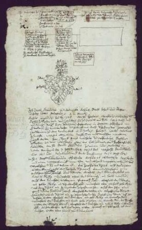 Wappenbrief für Eberhard Pfitz (unbeglaubigter Auszug)