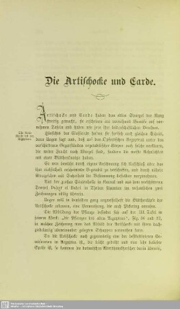 Die Artischocke und Carde