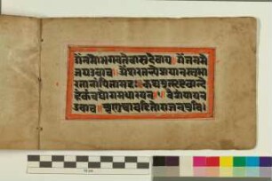 185r-205v, Bhīṣmastavarāja