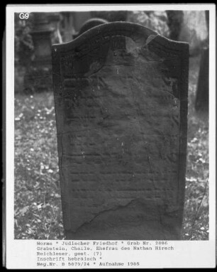 Grabstein von Chaile, Ehefrau des Nathan Hirsch Reichleser