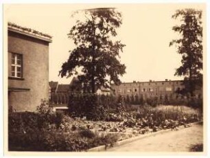 Sportanlage, Hindenburg: Sportplatz und Grünanlage der Wohnsiedlung an der Pfarrstraße