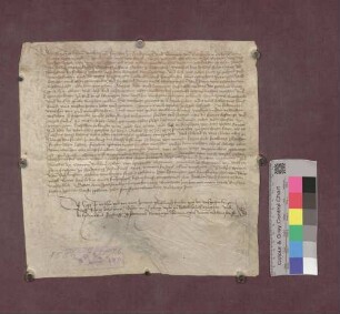 Sigmund von Falkenstein übernimmt von Abt Franziskus von St. Gallen das Schloß Schneeburg mit dem Bauhof, die Vogtei zu Ebringen, Talhausen und Berghausen etc. als Lehen.