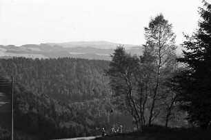 St. Märgen: Wiese mit Familie an Birkengruppe; Hintergrund Feldberg