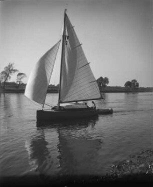 Dresden. Segelboote auf der Elbe zwische Blasewitz und Pillnitz