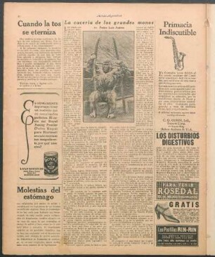 La cacería de los grandes monos