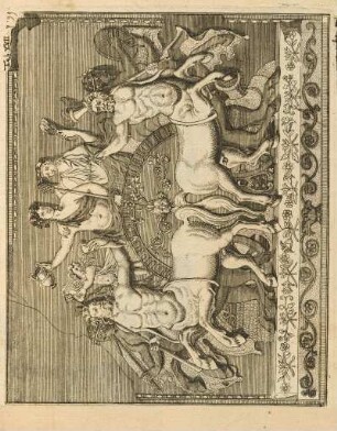Abbildung: Tab. XVII.