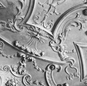 Stuckdecke mit Tritonen-Kindern : Neustadt-Glewe, Neues Schloss. Stuckdecke mit Tritonen-Kindern