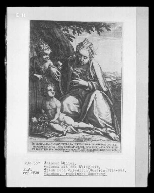 Madonna mit dem Stieglitz