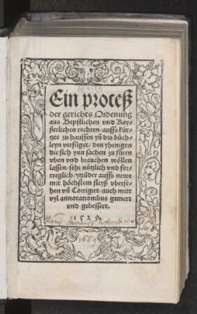 Ein proceß || der gerichts Ordenung || aus Bepstlichen vnd Key=||serlichen rechten/ auffs kuer=||tzte zu hauffen yñ dis buech=||leyn verfueget/ den yhenigen || die sich yn ynn sachen zu fueren || vben ... || sehr nuetzlich vnd for=||treglich/ ytz~uder auffs newe || ... vberse=||hen vñ Corrigirt/ auch mitt || vyl annotationibus gemert || vnd gebessert.||[Hrsg.v.(Mauritius Breunle.||)]