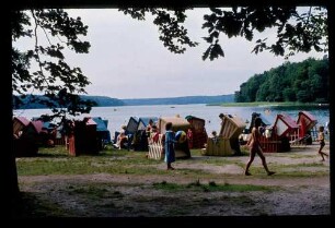 Stechlin-See 18.8.80.