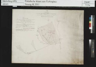 Grubenfeld von Langs Glück bei Langenstriegis