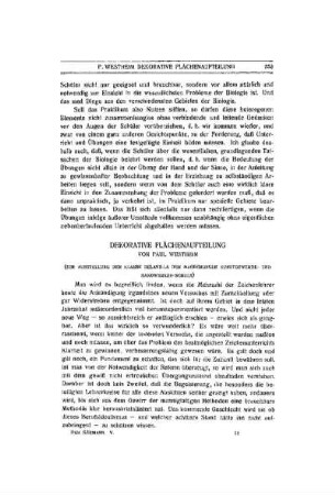 Dekorative Flächenaufteilung