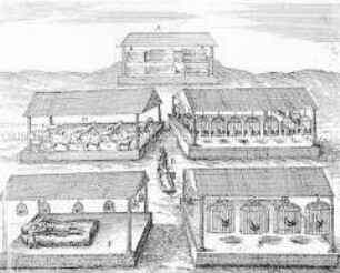 Etliche Gemächer im Königshof - Buchseite aus de Bry, India II