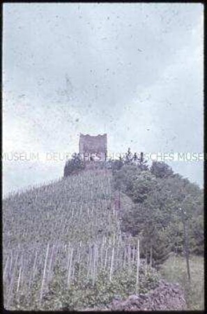 Ruine der Burg Arras bei Alf an der Mosel