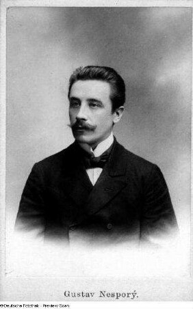 Nesporý, Gustav
