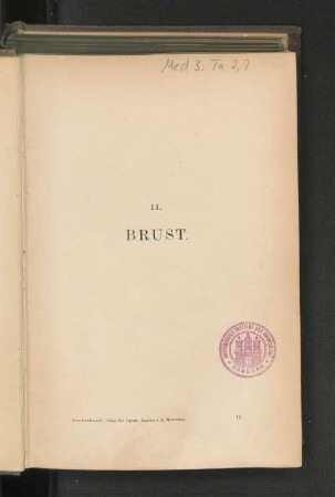 II. Brust.
