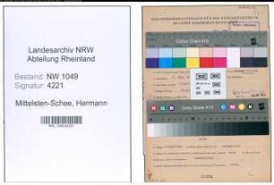 Entnazifizierung Hermann Mittelsten-Schee , geb. 21.03.1910 (Assessor)