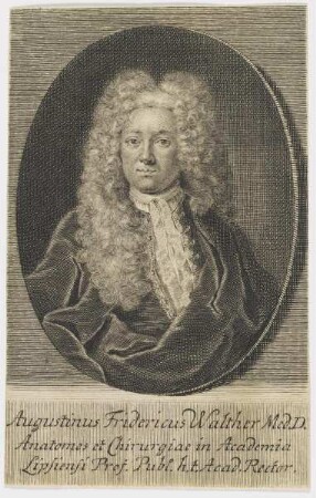 Bildnis des Augustinus Fridericus Walther