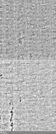 Lilie / Tj = S.7/8+31/32