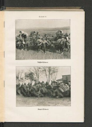 Tafel 4. Büffel-Kolonne. und Kamel-Kolonne.